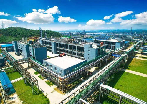 共戰(zhàn) 疫 情 走進(jìn)英雄的企業(yè) 興發(fā)集團(tuán)