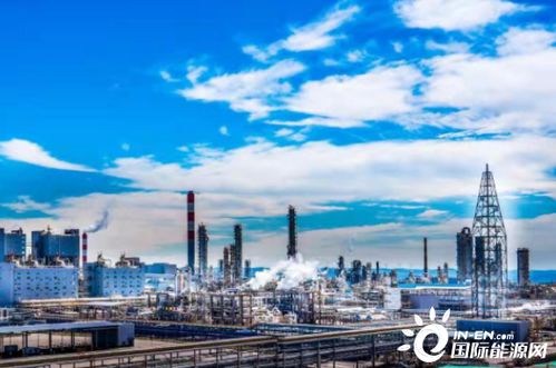 能源保障能力躍上新臺階 推動三大目標協調優化發展